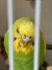 IMG_4834.jpeg