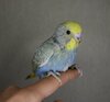 DSC_7921.JPG