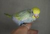 DSC_7882.JPG