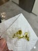 IMG_4600.jpeg