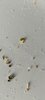 IMG_20250422_151410_540.jpg