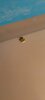 IMG_20250423_200159_250.jpg