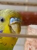 IMG_20250426_111031_359.jpg