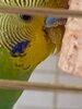 IMG_20250426_111033_221.jpg