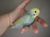 DSC_8035.JPG