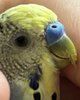 IMG_2069.jpeg