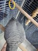 IMG_20250509_110336.jpg