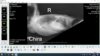 Chira2.png