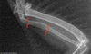 2025-05-11_18-04-39.png