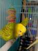 IMG20250509110259.jpg