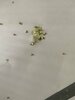 IMG-20250512-WA0017.jpg