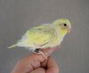 DSC_8194.JPG