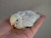 DSC_8174.JPG