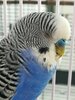 IMG_20250515_071349.jpg