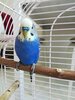 IMG_20250515_074907.jpg