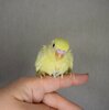 DSC_8226.JPG