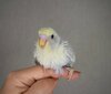 DSC_8252.JPG