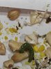 IMG20250516122837.jpg