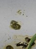 IMG20250520115020_1.jpg