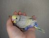 DSC_8310.JPG