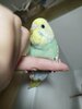 IMG_20250521_201016.jpg
