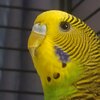 IMG_20250522_160840.jpg