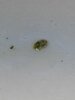 IMG20250522170155.jpg