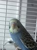 IMG_7044.jpeg