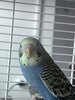 IMG_7045.jpeg