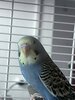 IMG_7046.jpeg