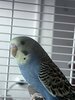 IMG_7047.jpeg