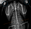 2025-05-23_13-57-47.png