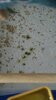 IMG_4084.jpeg