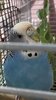 IMG_4098.jpeg