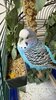 IMG_4092.jpeg