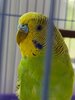 IMG_20250529_131142_615.jpg