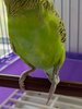 IMG_20250529_131222_035.jpg