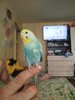 IMG_20250315_175011.jpg