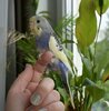 DSC_8550.JPG