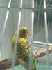 20250606_092325.jpg