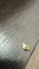 IMG_5497.jpeg