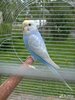 IMG_7145.jpg