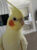 IMG_5356.jpeg