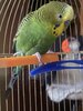 IMG_6283.jpeg