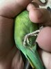 IMG_6285.jpeg
