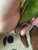 IMG_6286.jpeg