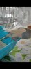 Screenshot_2025-06-19-13-28-26-397_com.miui.mediaviewer.jpg