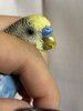 IMG_2651.jpeg