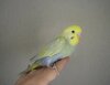 DSC_8862.JPG