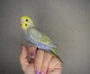 DSC_8835.JPG